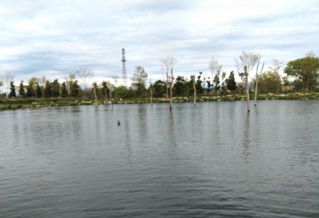 平日はミノーイングが楽しい！ ～フィッシングパーク高島の泉～